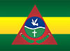 Flag of Rio Pomba