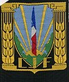 insigne du CJF (1er modèle) noir.