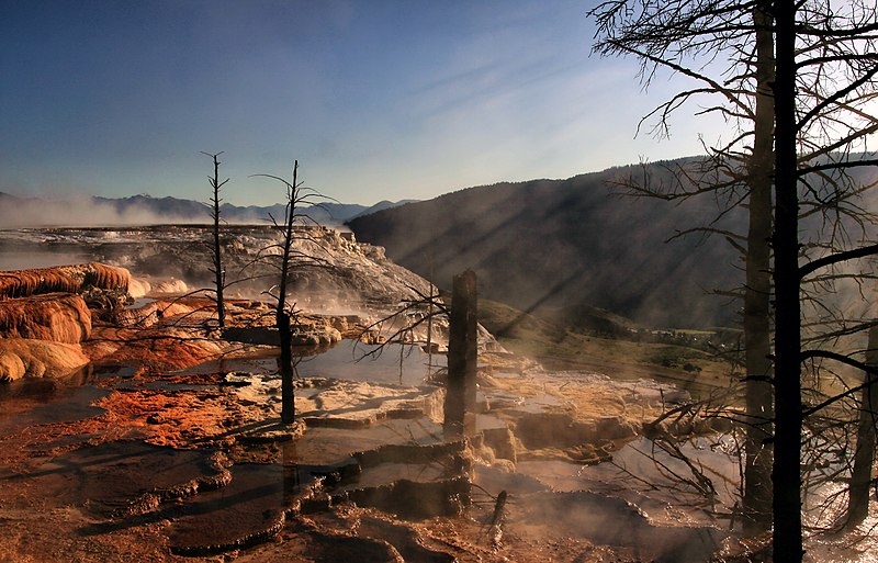 File:Crepuscular rays and Dead trees at Mammoth Hot Springs.jpg