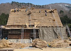 Sửa chữa mái rơm, nhà nông dân Gassho-zukuri, Nhật Bản