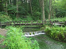 Photo couleur montrant un petit cours d'eau s'écoulant sous un pont de bois dans un environnement forestier.