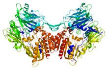 Protein FAP PDB 1z68.png