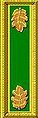 Major Medical Corps