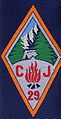 Insigne du CJF 29 - Groupe 5.