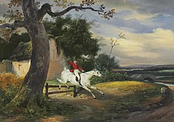 Over the Fence 1825