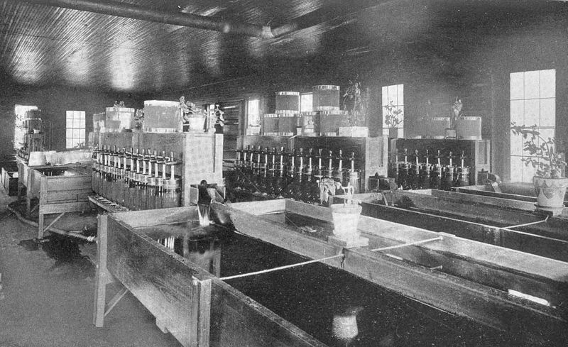 File:FMIB 47355 Oneida Hatchery Interior, Constantia, 1912.jpeg