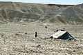 Kochi tent near the Kabul-Jalalabad Road