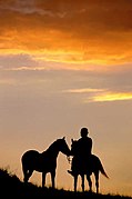 Rider at sunset - panoramio.jpg