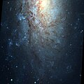 Autre image de NGC 3621 par le télescope spatial Hubble.