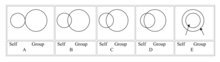 Pictorial Scale Measure of Identity Fusion.