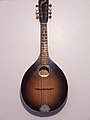 Mandolin from Levin