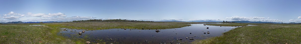 A large vernal pool atop Lower Table Rock