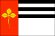 Vlag