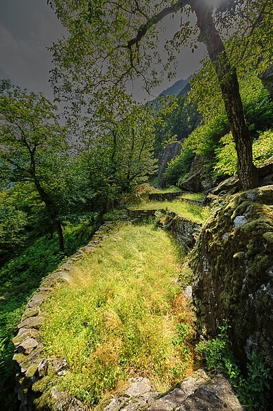 File:20160710 Bäuerliche Terrassen in Sott Piodau, Bignasco, Vallle Maggia (05931).jpg