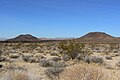 Cinder cones in the Cima volcanic field