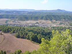 Skyline of Castellolí