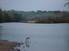 Thunga river, Hariharapura (2007).jpg