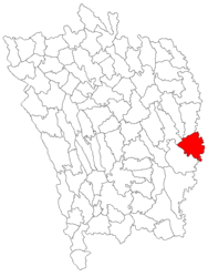 Location in Vaslui County