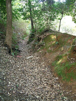 船岡山城（横堀跡）