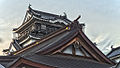 Detail view of Okazaki castle