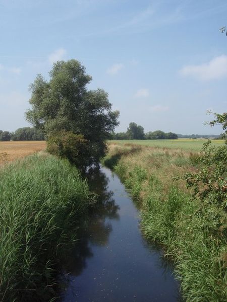 File:River Glen, Wilsthorpe - geograph.org.uk - 1376779.jpg