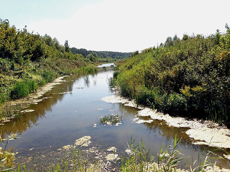 File:Река Карасёвка (1) (Нижняя Терраса).jpg