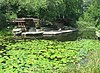 Alfred Caldwell Lily Pool