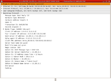 DHCP-ACK.png