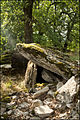 Dolmen du Pech d’Agaïo