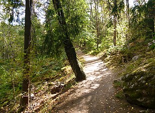 Judarskogens naturstig.