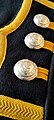 Royal Marines Band - Parade Uniform - Uniform buttons