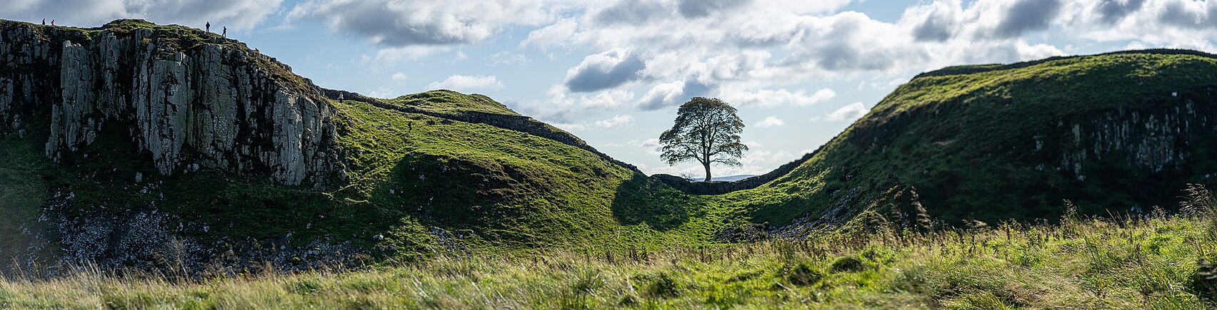 Sycamore Gap panorama