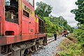 * Nomination Sabah State Railway: HITACHI Locomotive 6105, usually running from Beaufort to Saliwangan. At the photo: Meeting point with locomotive 5101. The passengers have to change the train here. --Cccefalon 04:01, 23 May 2016 (UTC) * Promotion Good quality. --Hubertl 04:09, 23 May 2016 (UTC)