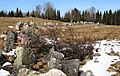 Obstacles antichars aux abords du village de Aholanvaara, région de Salla