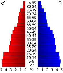 Schéma représentant la population du comté, par tranche d'âge. En rouge, à gauche, les femmes, en bleu à droite, les hommes.