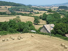 Campagne bourguignonne