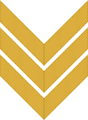 Chevron/ sleeve insignia