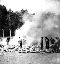 奥斯威辛-比克瑙的特遣队焚烧尸体