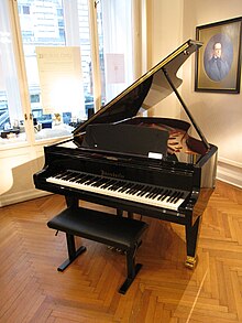 Boesendorfer Vienna 006.JPG