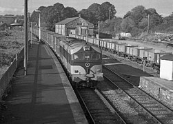 Freight train at Carrick-on-Suir - geograph.org.uk - 2367941.jpg