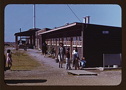 Gardens are planted in front of the row shelters, FSA ... labor camp, Robstown, Tex. (LOC).jpg