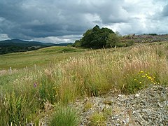 View near Achlian - geograph.org.uk - 207227.jpg