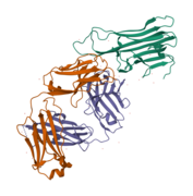 3WD5 adalimumab with TNFalpha PDB 3WD5.png