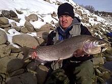 Photo of man hold a very large trout