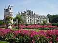 View from Catherine de' Medici's garden