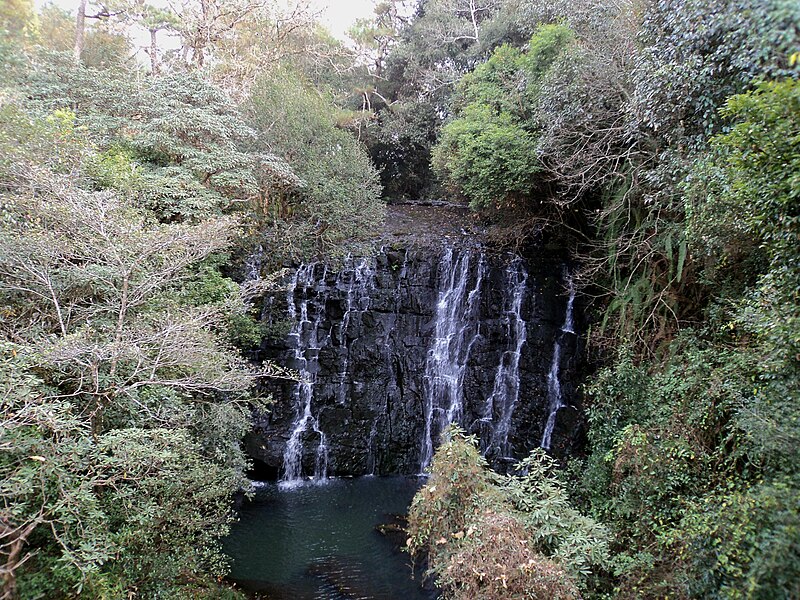 File:Elephant Fall of Shillong.JPG