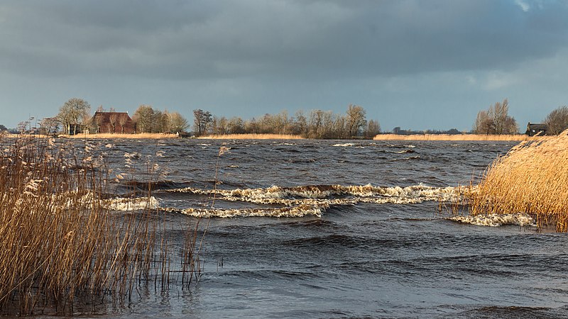 File:Langweerderwielen-Langwarder Wielen. Storm Ciara. 11-02-2020. (d.j.b) 10.jpg