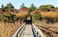 Image 52Quogue Village Wetlands Preserve