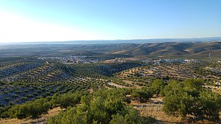 Yacimiento de las Atalayuelas 24J 02.jpg