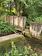 2021-07-11 Spaziergang in Kürnach 08.jpg